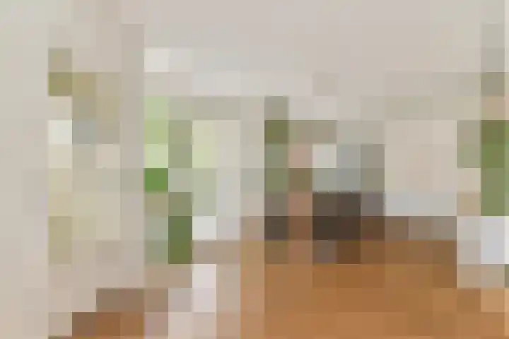 Binnendyk 16 Rottum thumbnail 23