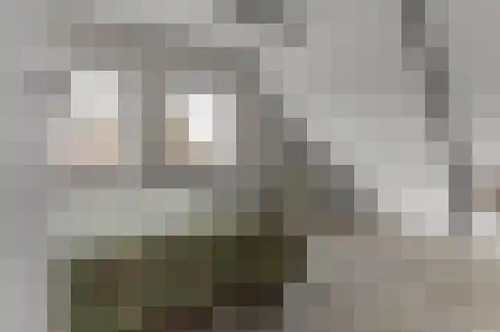 Binnendyk 16 Rottum thumbnail 28