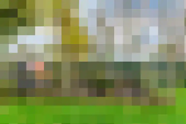 Binnendyk 16 Rottum thumbnail 33