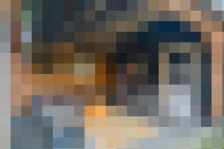Binnendyk 16 Rottum thumbnail 35