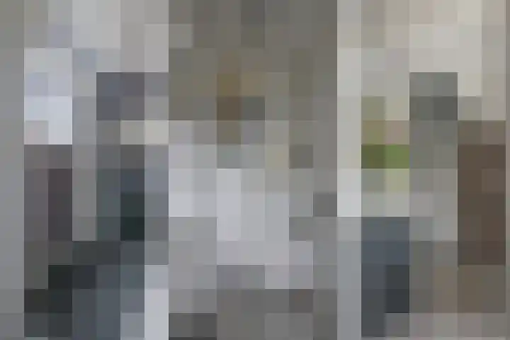 Binnendyk 16 Rottum thumbnail 37
