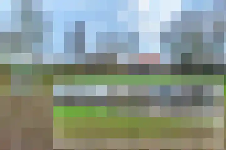 Binnendyk 16 Rottum thumbnail 38