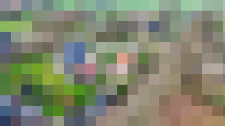 Binnendyk 16 Rottum thumbnail 39