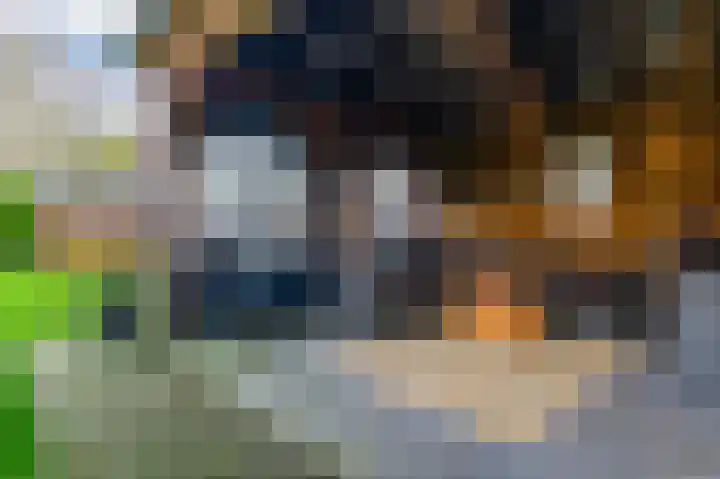 Binnendyk 16 Rottum thumbnail 4