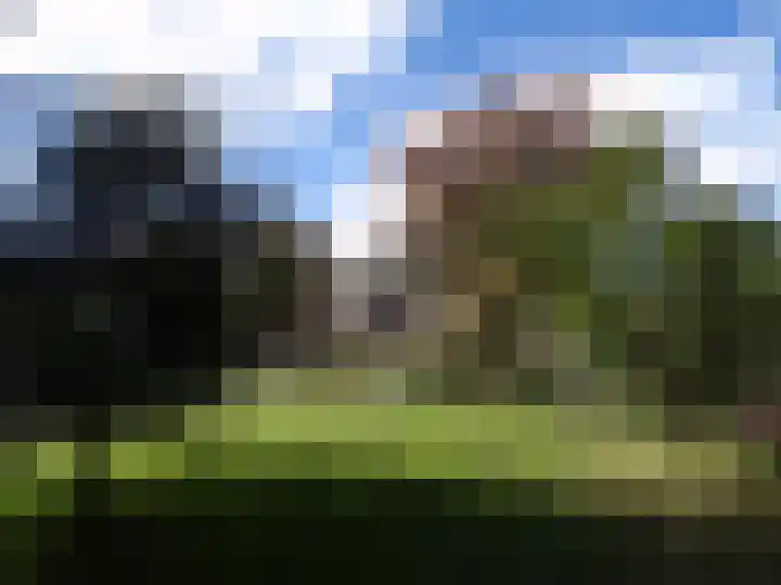 Binnendyk 16 Rottum thumbnail 44