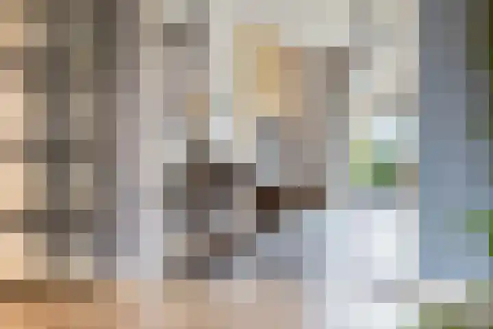Binnendyk 28 Rottum thumbnail 15