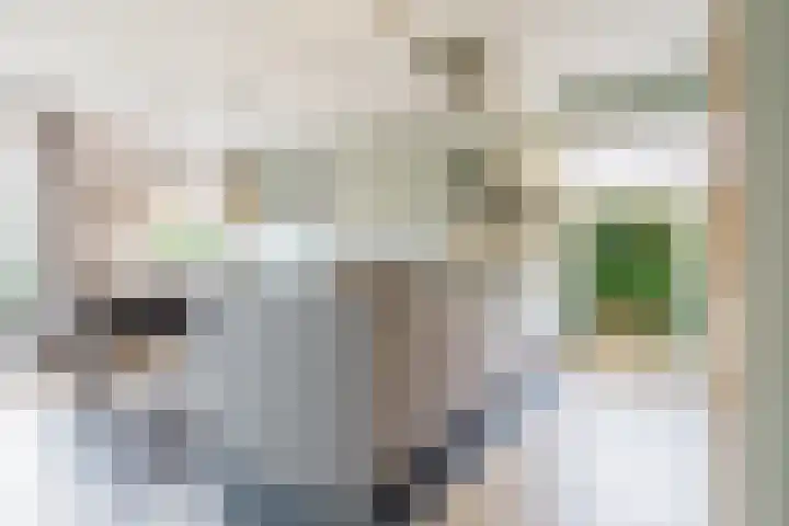 Binnendyk 28 Rottum thumbnail 17
