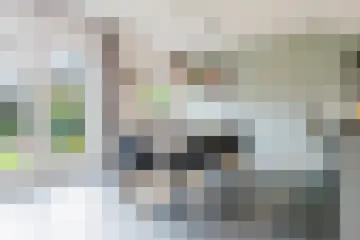 Binnendyk 28 Rottum thumbnail 22