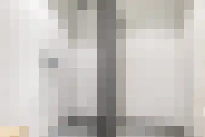 Binnendyk 28 Rottum thumbnail 30
