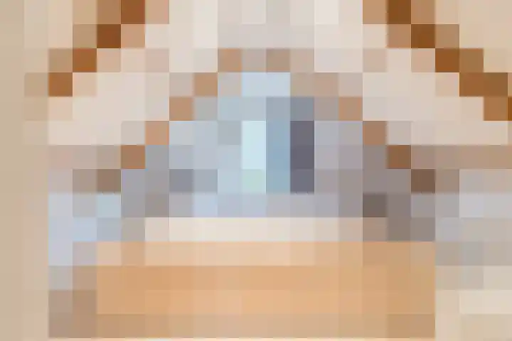 Binnendyk 28 Rottum thumbnail 34