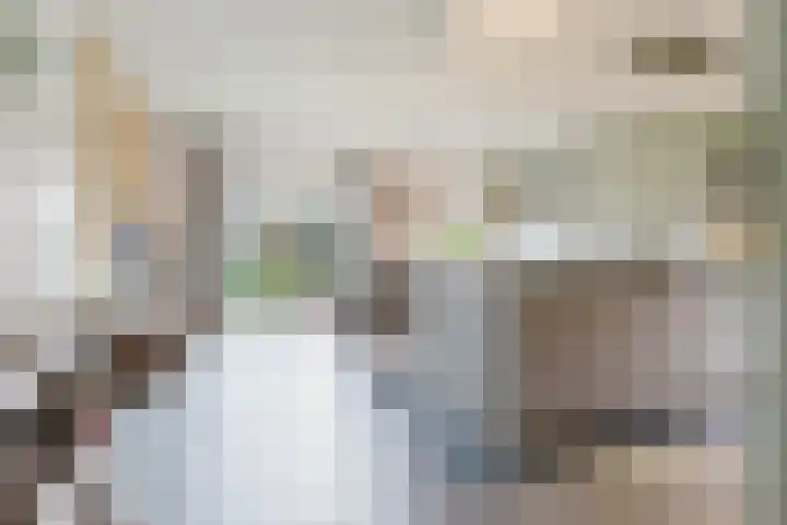 Binnendyk 28 Rottum thumbnail 4
