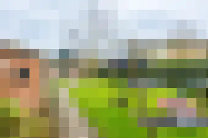 Binnendyk 28 Rottum thumbnail 46
