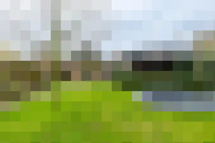 Binnendyk 28 Rottum thumbnail 47