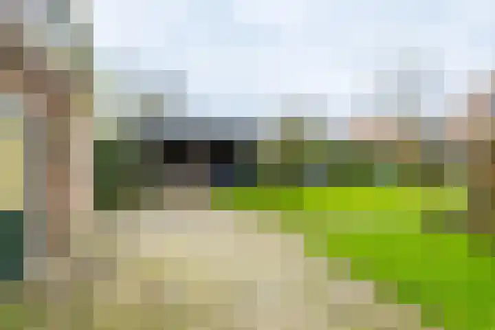 Binnendyk 28 Rottum thumbnail 49