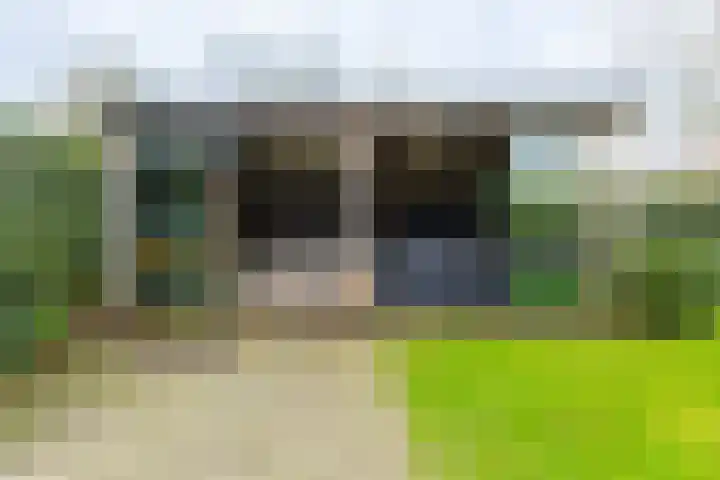 Binnendyk 28 Rottum thumbnail 50