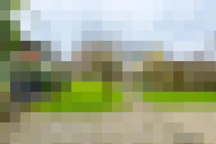 Binnendyk 28 Rottum thumbnail 53