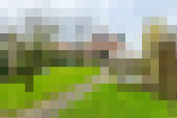 Binnendyk 28 Rottum thumbnail 54