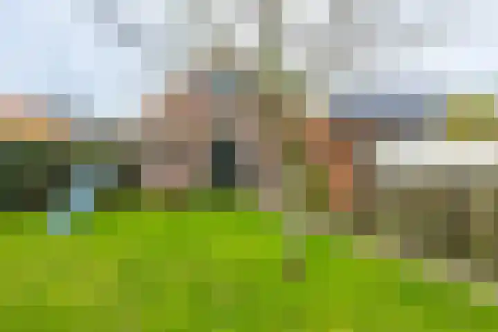 Binnendyk 28 Rottum thumbnail 55