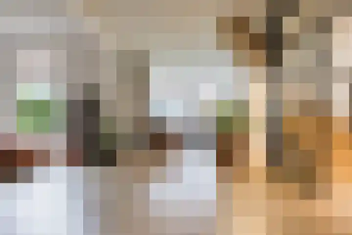 Binnendyk 28 Rottum thumbnail 8