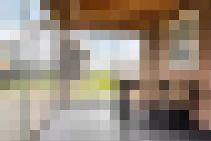 Binnendyk 57 a Rottum thumbnail 11