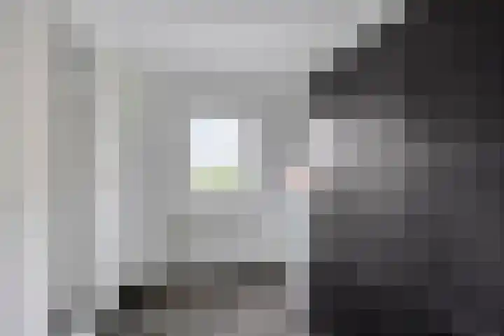 Binnendyk 57 a Rottum thumbnail 19