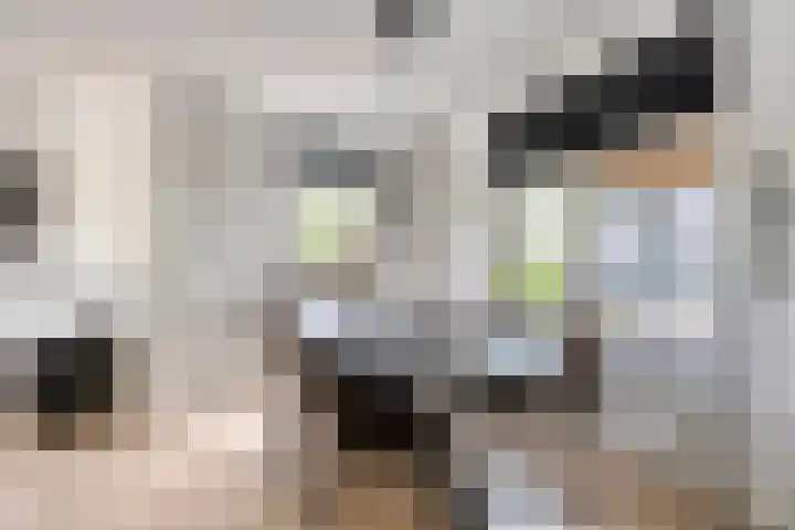 Binnendyk 57 a Rottum thumbnail 8