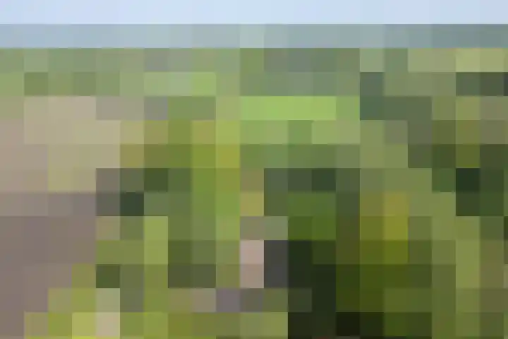 Binnendyks 2 Opeinde foto 2