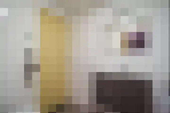 Binnendyks 2 Opeinde thumbnail 23