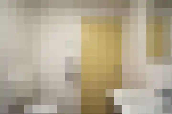 Binnendyks 2 Opeinde thumbnail 24