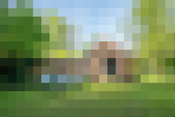 Binnendyks 2 Opeinde thumbnail 37