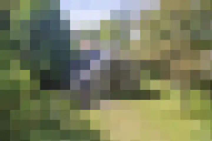 Binnendyks 2 Opeinde thumbnail 4
