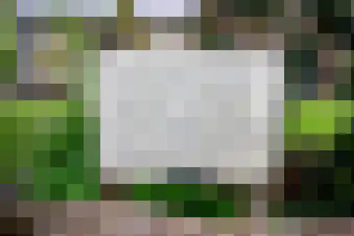 Binnendyks 2 Opeinde thumbnail 40