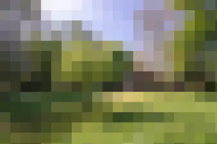Binnendyks 2 Opeinde thumbnail 42