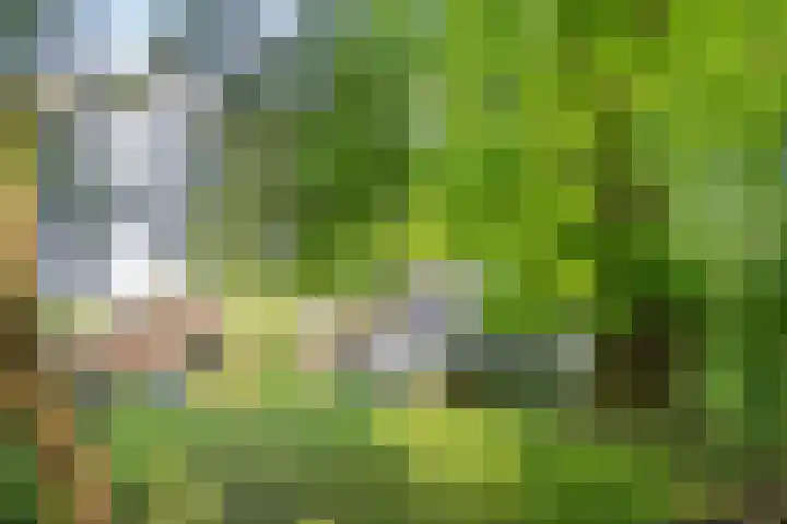 Binnendyks 2 Opeinde thumbnail 43