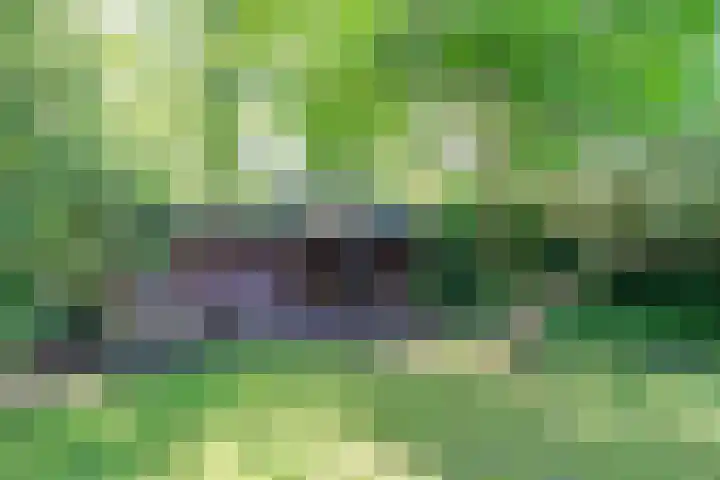Binnendyks 2 Opeinde thumbnail 44