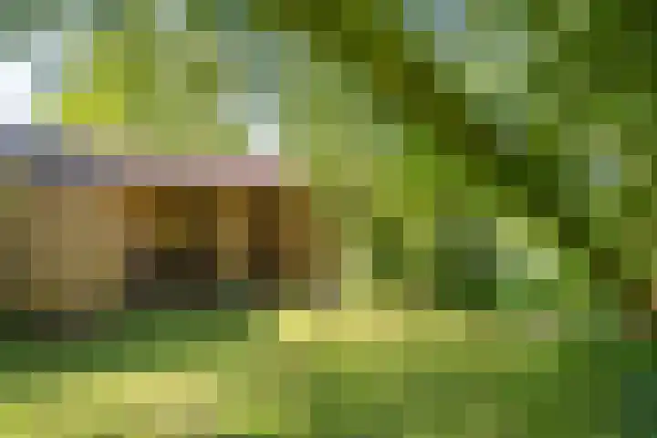 Binnendyks 2 Opeinde thumbnail 45