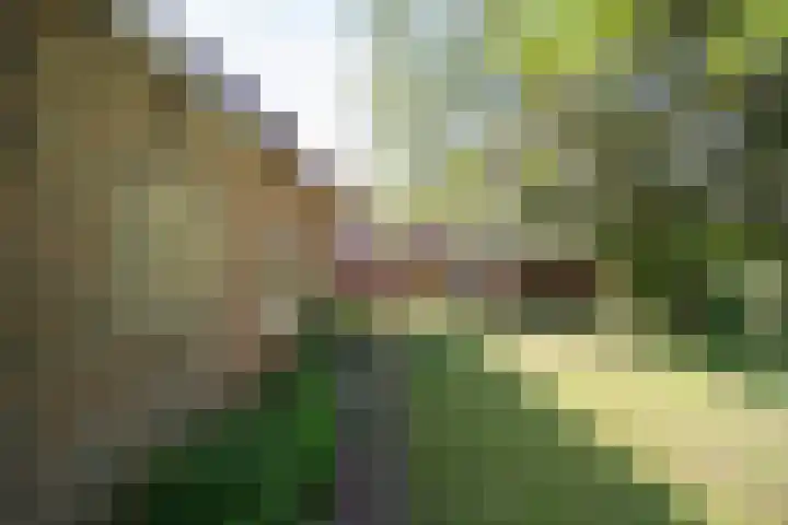 Binnendyks 2 Opeinde thumbnail 46