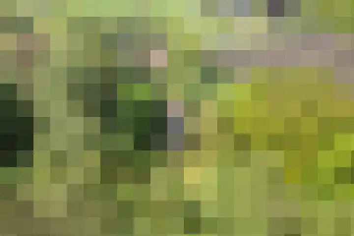 Binnendyks 2 Opeinde thumbnail 48