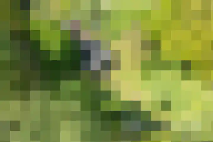 Binnendyks 2 Opeinde thumbnail 49