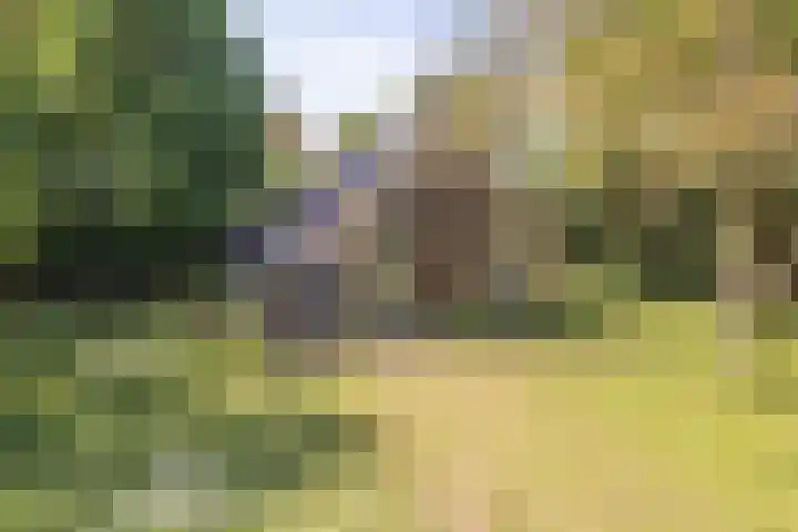 Binnendyks 2 Opeinde thumbnail 5