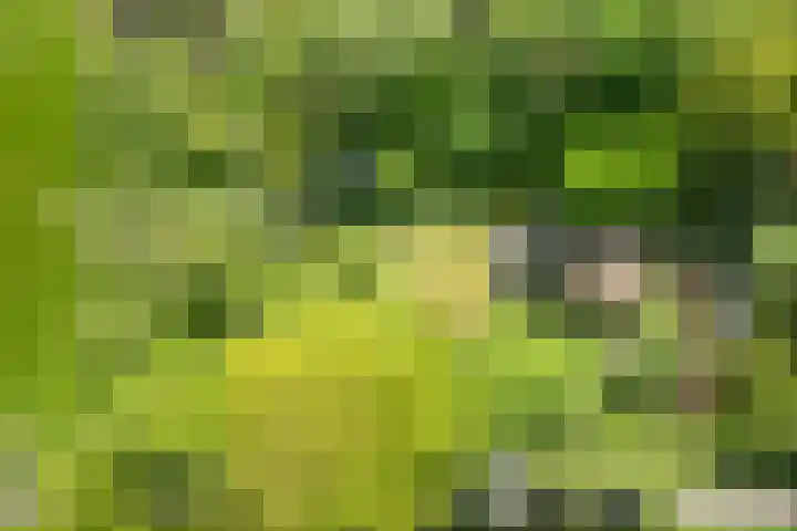 Binnendyks 2 Opeinde thumbnail 50