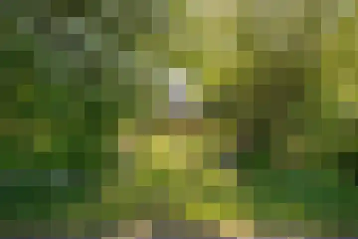Binnendyks 2 Opeinde thumbnail 6
