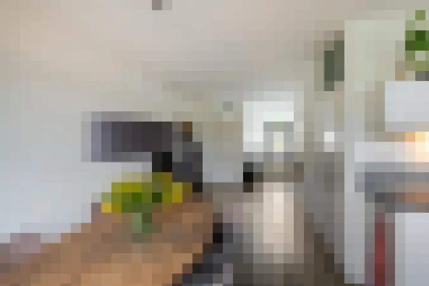 Binnenes 16 Assen thumbnail 13