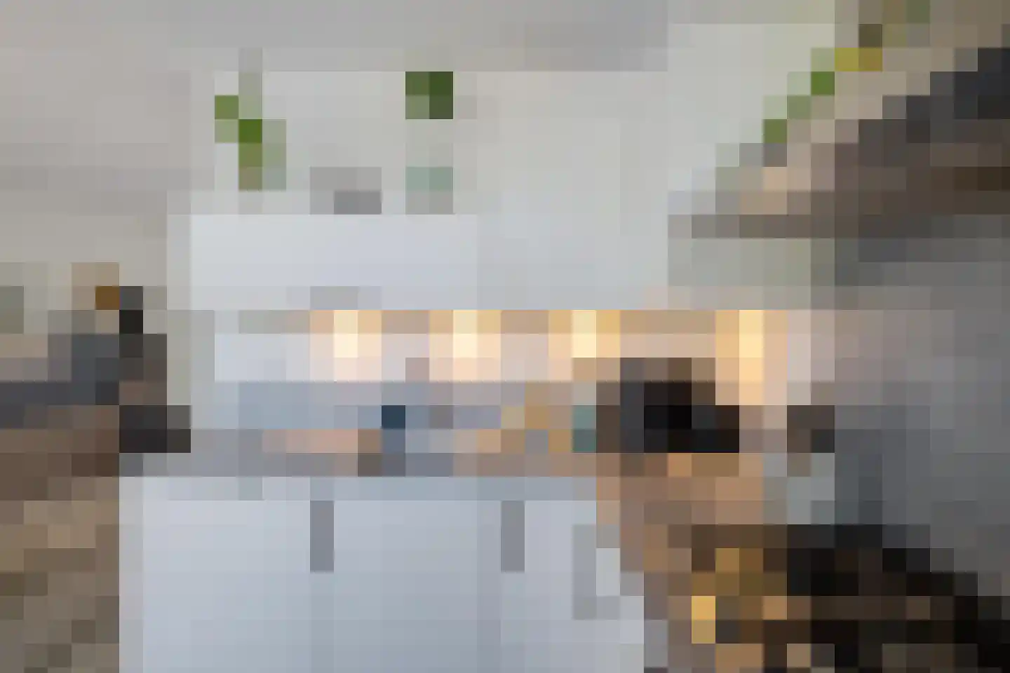 Binnenes 16 Assen thumbnail 16