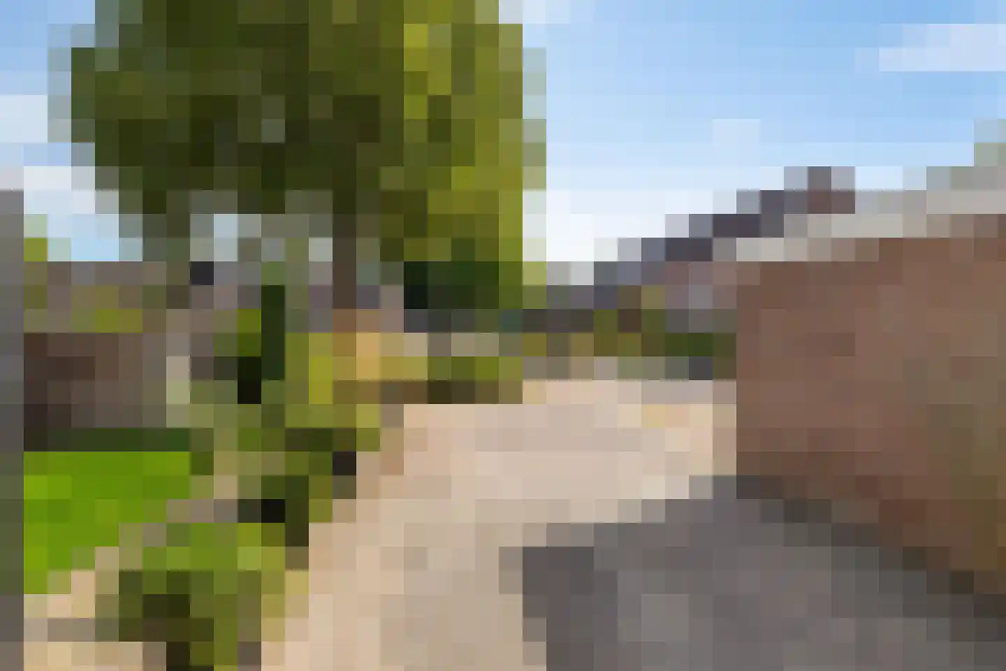 Binnenes 16 Assen thumbnail 5