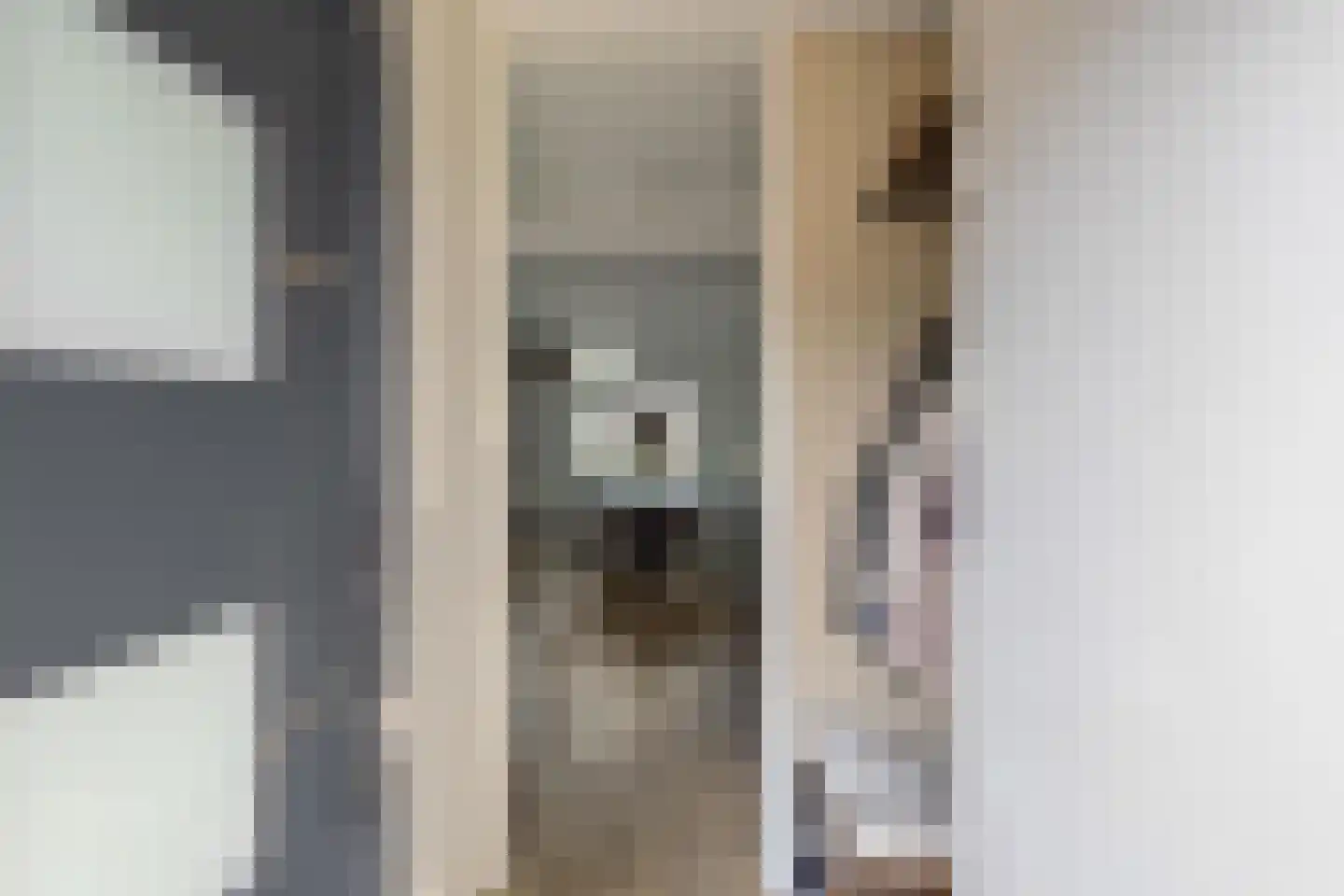 Binnenes 16 Assen thumbnail 7