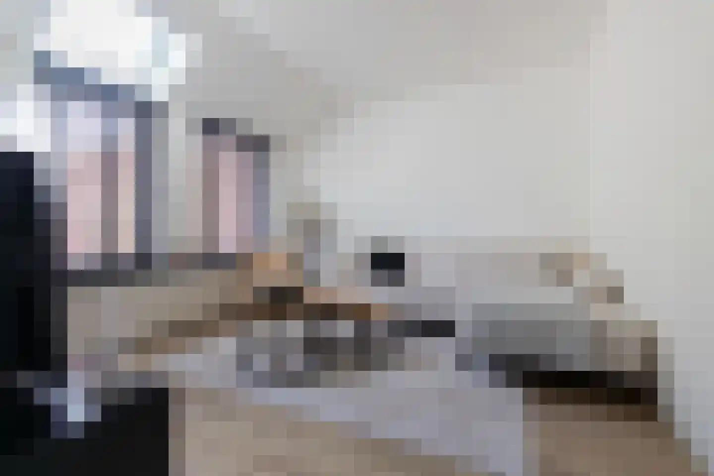 Binnenes 16 Assen thumbnail 9