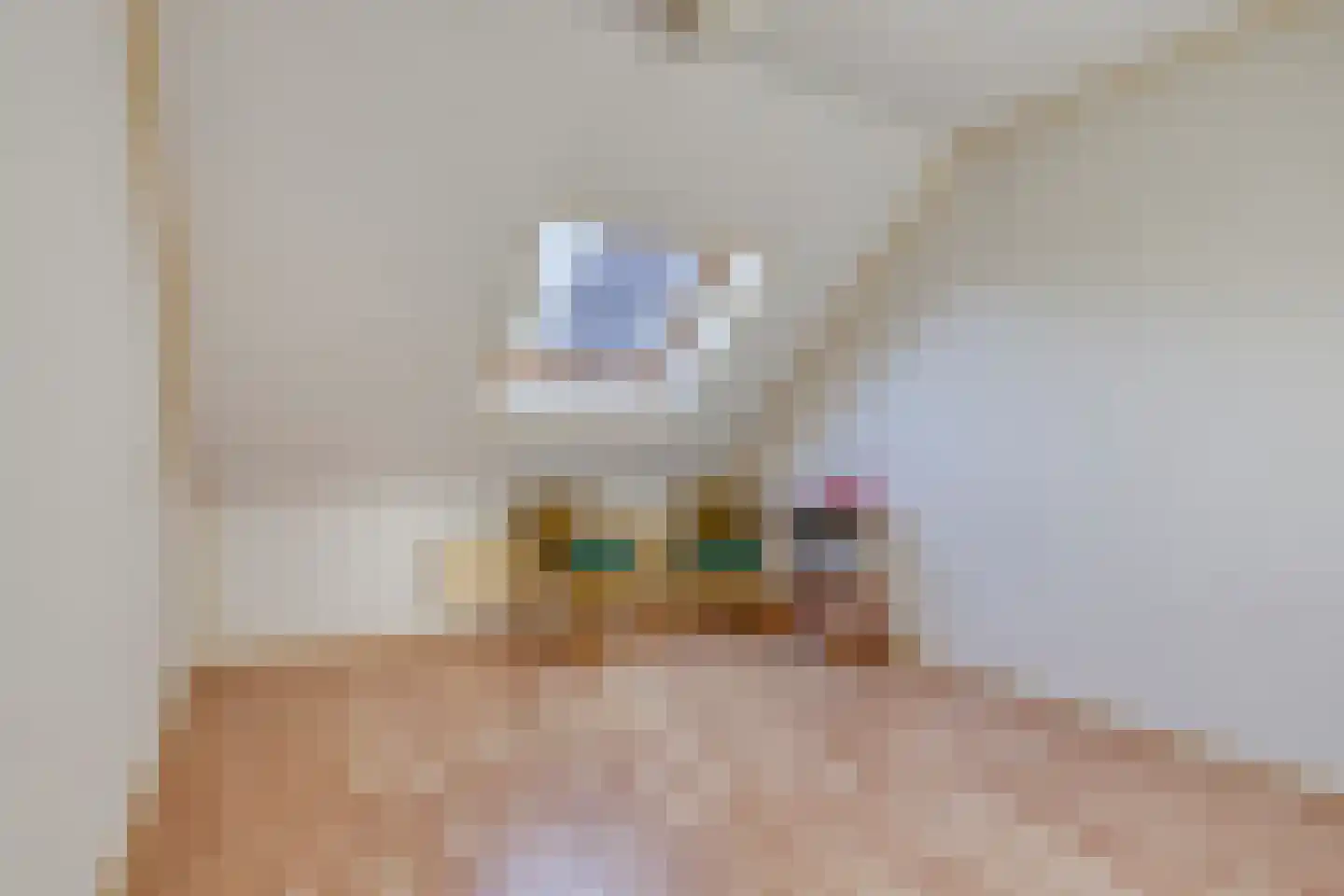 Binnengeest 28 Akersloot thumbnail 16