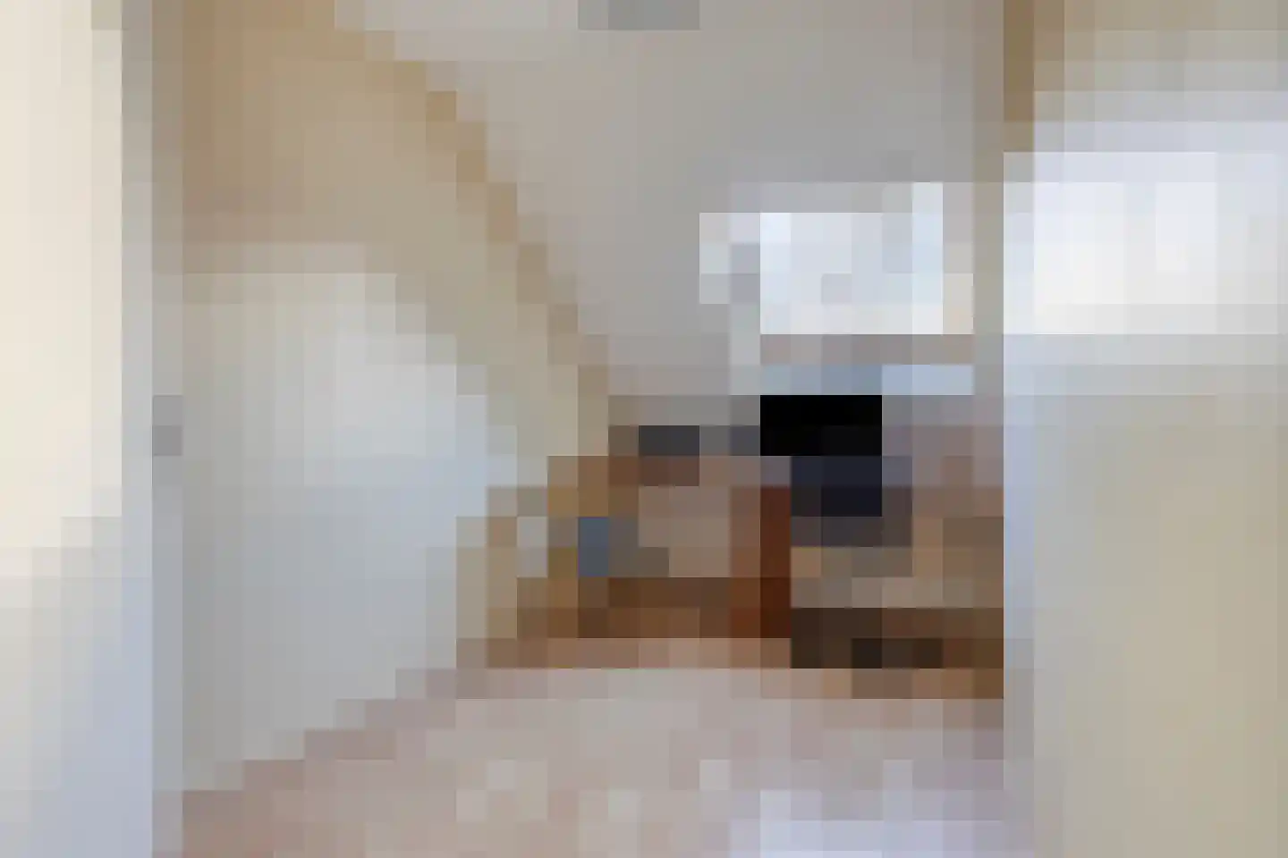 Binnengeest 28 Akersloot thumbnail 17