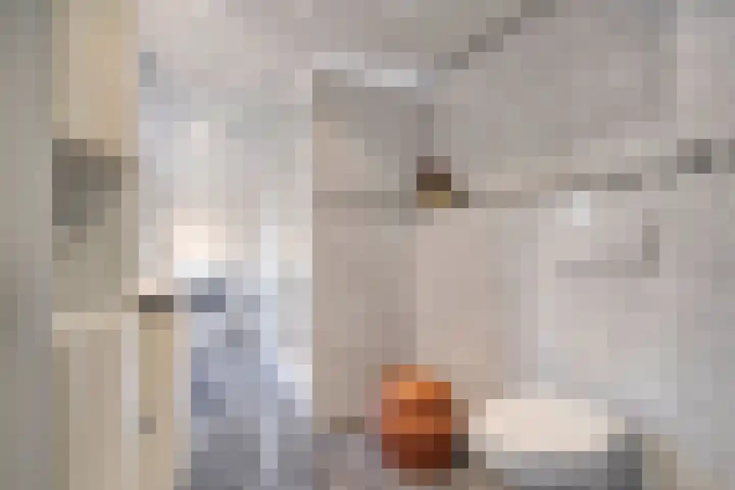 Binnengeest 28 Akersloot thumbnail 18